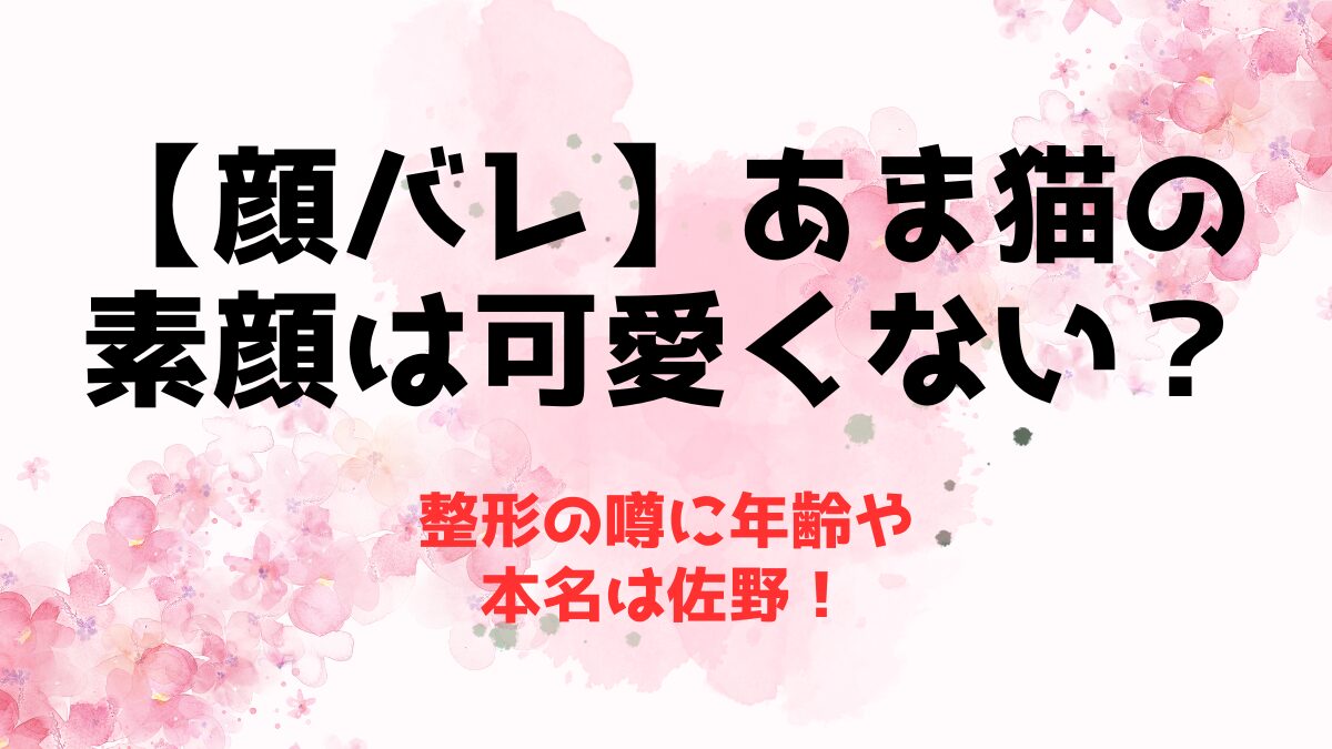 【顔バレ】あま猫の素顔は可愛くない？整形の噂に年齢や本名は佐野！