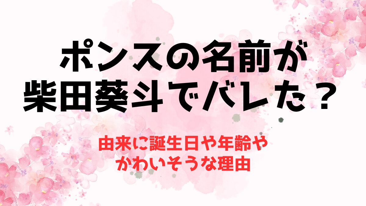 ポンスの名前が柴田葵斗でバレた？由来に誕生日や年齢やかわいそうな理由