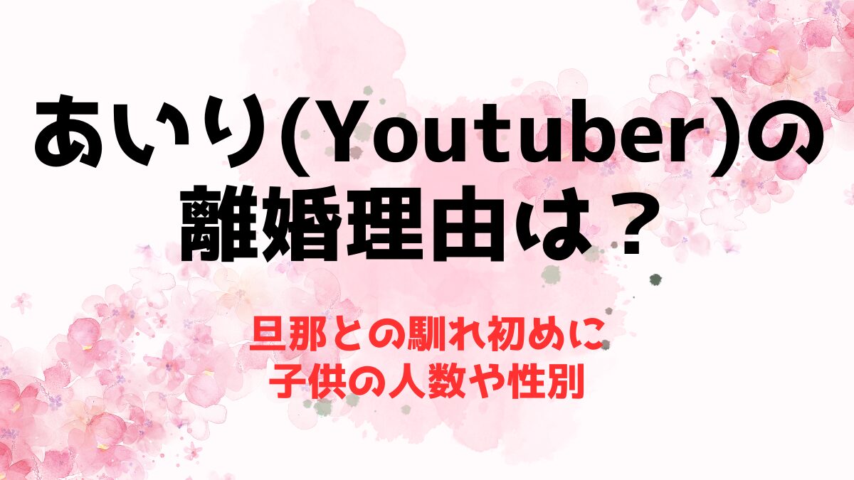 あいり(Youtuber)の離婚理由は？旦那との馴れ初めに子供の人数や性別