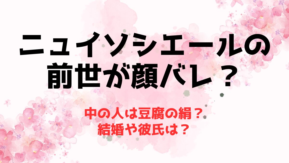 ニュイソシエールの前世(中の人)が顔バレ？豆腐の絹の結婚や彼氏は？