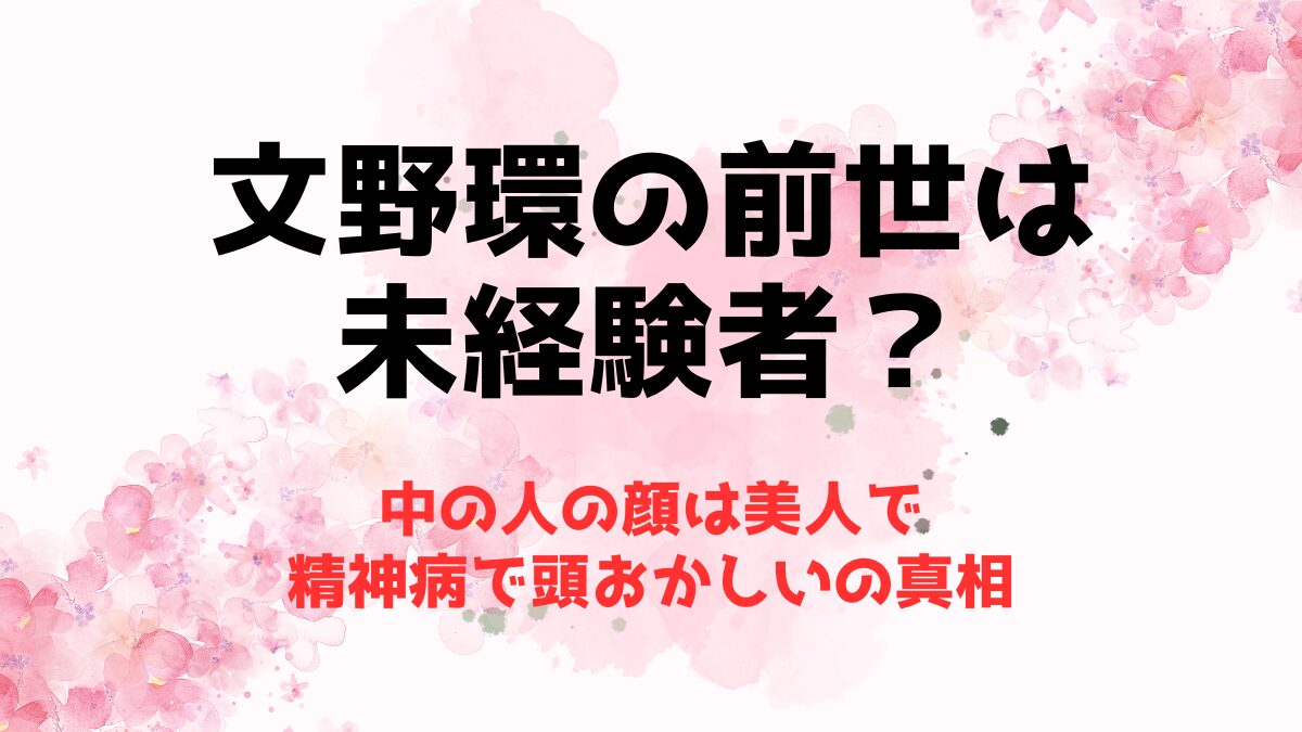 文野環の前世(中の人)は未経験者？顔は美人で精神病で頭おかしいの真相