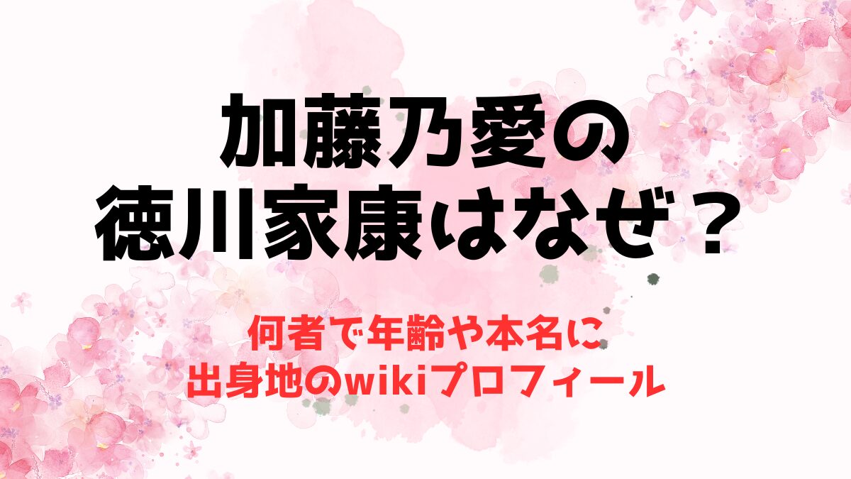 加藤乃愛の徳川家康はなぜ？何者で年齢や本名に出身地のwikiプロフィール